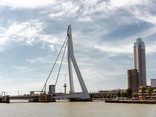 Vakantiepark Hellevoetsluis Omgeving 22