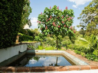 Parque de vacaciones Montemor-o-Novo Grabación al aire libre 12