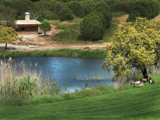 Holiday park Montemor-o-Novo Environment 39