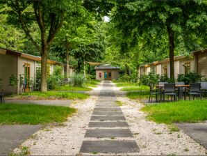 Vakantiepark Chalet met terras nabij Amsterdam - Ouderkerk aan de Amstel - image1