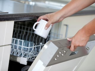 Holiday park Hellevoetsluis Features 8