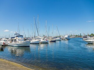 Vakantiepark Hellevoetsluis Omgeving 15