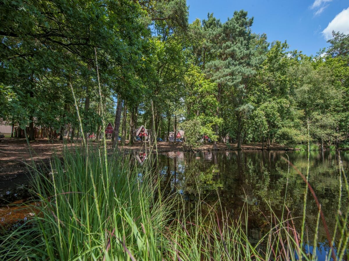 Ferienpark Geldrop-Mierlo Umgebung 29