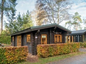 Parc de vacances Chalet avec lave-vaisselle, près du parc national de Veluwe - Lunteren - image1