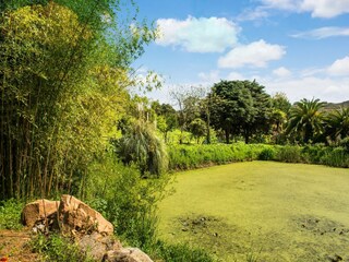 Parque de vacaciones Montemor-o-Novo Grabación al aire libre 5