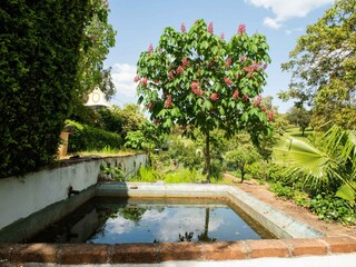 Parque de vacaciones Montemor-o-Novo Grabación al aire libre 6