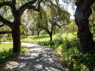Parque de vacaciones Montemor-o-Novo Grabación al aire libre 11
