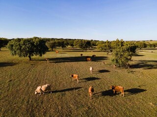 Ferienpark Montemor-o-Novo Umgebung 34
