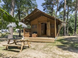 Holiday park Nice safari tent with kitchen, 8 km. from Helmond - Geldrop-Mierlo - image1