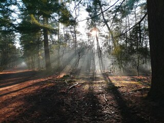 Parc de vacances Geldrop-Mierlo Environnement 13