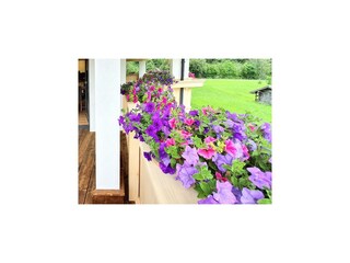 Apartment Neustift im Stubaital Outdoor Recording 13