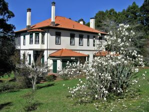 Ferienpark Schöne Villa in Santo António da Serra mit Grill - Camacha (Madeira) - image1