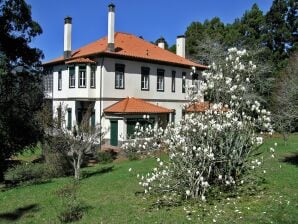 Parc de vacances Belle Villa située à Santo António da Serra avec barbecue - Camacha (Madère) - image1