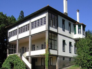 Ferienpark Camacha (Madeira) Außenaufnahme 6