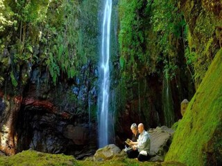 Parco vacanze Camacha (Madeira) Ambiente 22