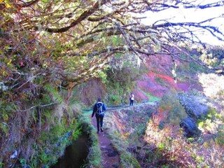 Parco vacanze Camacha (Madeira) Ambiente 23