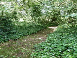 Vakantiepark Brecht Omgeving 11