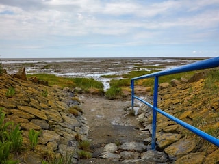 Ferienhaus Friedrichskoog Umgebung 18