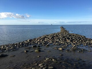 Vakantiehuis Friedrichskoog Omgeving 17