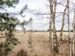 Parc de vacances Geldrop-Mierlo Environnement 15