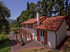 Vakantiepark Mooie cottage dicht bij Santa Cruz met privétuin - Camacha (Madeira) - image1