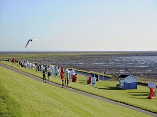 Apartamento Friedrichskoog Entorno 17