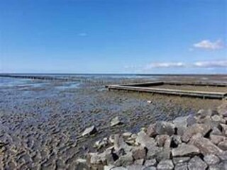 Apartamento Friedrichskoog Entorno 16