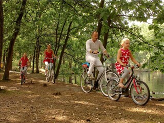 Parc de vacances Geldrop-Mierlo Environnement 18