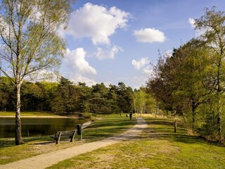 Parque de vacaciones Geldrop-Mierlo  46