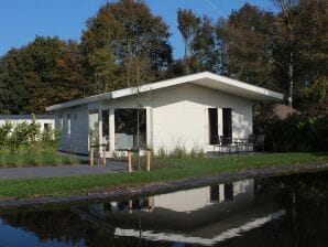 Parc de vacances Chalet avec lave-vaisselle près d'un parc national - IJhorst - image1