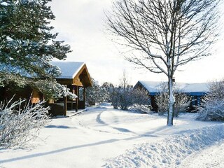 Vakantiepark Hayingen Buitenaudio-opname 4