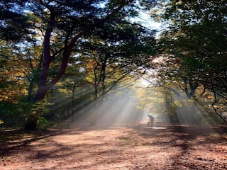 Vakantiepark Geldrop-Mierlo Omgeving 7