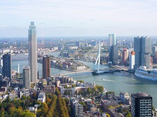 Vakantiepark Hellevoetsluis Omgeving 17