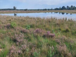 Vakantiepark Vlierden Omgeving 22