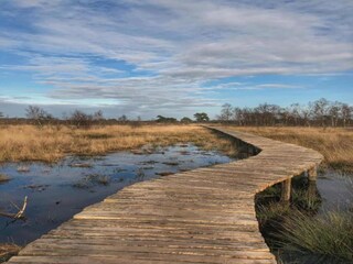 Parc de vacances Vlierden Environnement 23