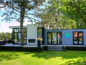 Parc de vacances Maison de vacances moderne avec lave-vaisselle, sur la Veluwe - Hoenderloo - image1