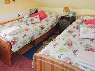 Parco vacanze Nowe Warpno Caratteristiche 12