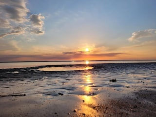 Appartement St. Peter-Ording Omgeving 17