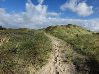 Appartement St. Peter-Ording Omgeving 36