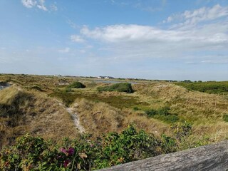 Appartement St. Peter-Ording Environnement 30