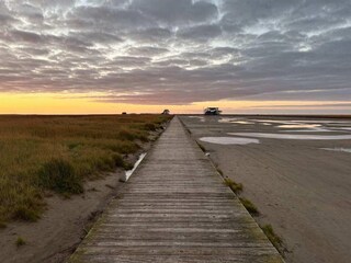 Appartement St. Peter-Ording Environnement 37