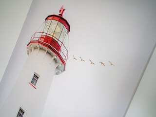 Apartamento St. Peter-Ording Entorno 17