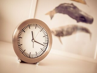 Appartement St. Peter-Ording  20