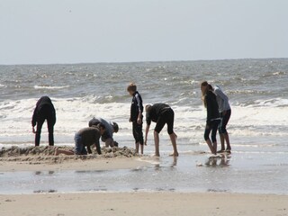 Vakantiehuis St. Peter-Ording Omgeving 49