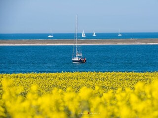 Ferienwohnung Büsum Außenaufnahme 11
