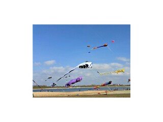 Ferienwohnung Büsum Außenaufnahme 13