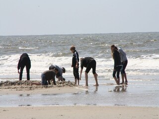 Apartment St. Peter-Ording Umgebung 17