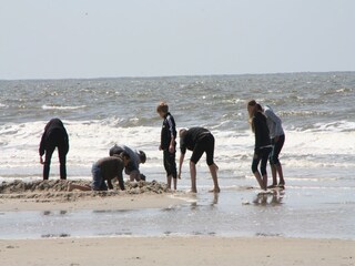 Apartment St. Peter-Ording Environment 20