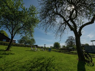 Ferienhaus Paliseul Außenaufnahme 6