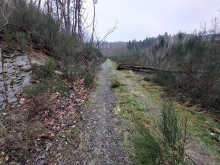 Vakantiehuis Paliseul Omgeving 36